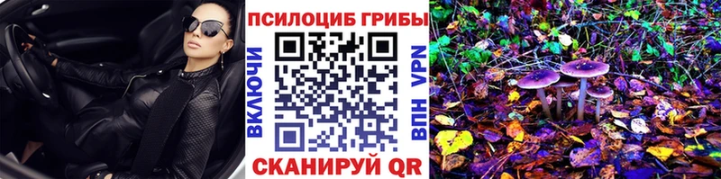 omg вход  Афипский  Галлюциногенные грибы Magic Shrooms 